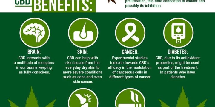 Cannabis oil benefits