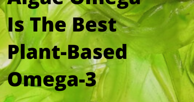 Best fish oil alternative : nordic natural algae omega
